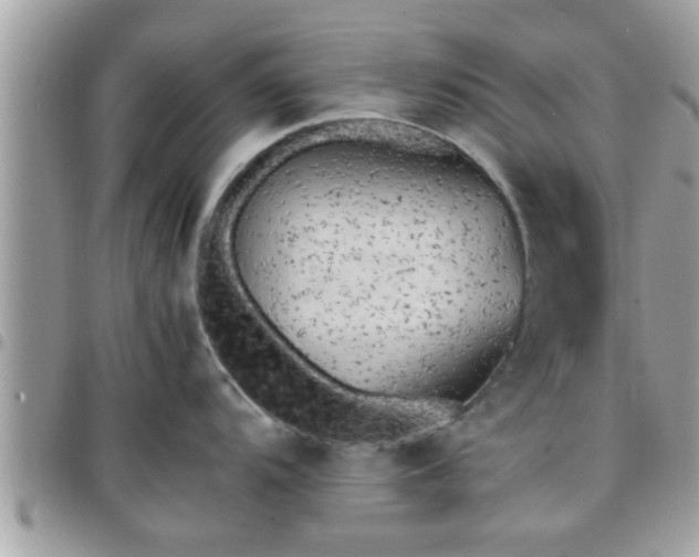 X0000095911104200801181350