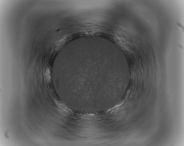 X0000095911106200801181349