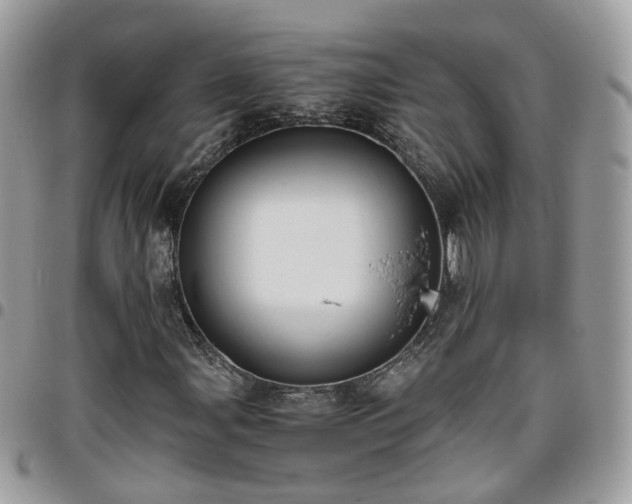 X0000095911107200801181349