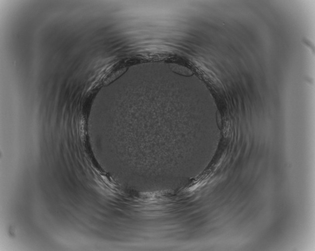 X0000095911108200801181349