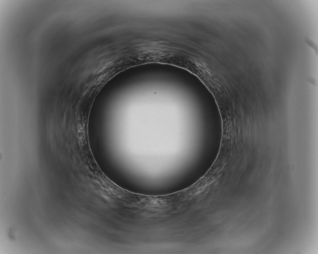 X0000095911109200801181349