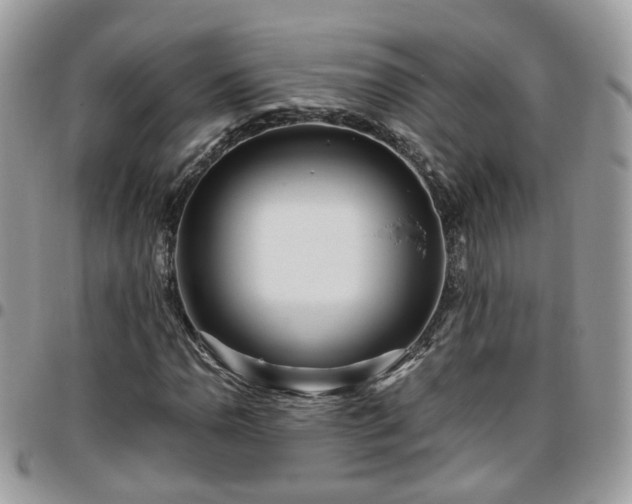 X0000095911110200801181349