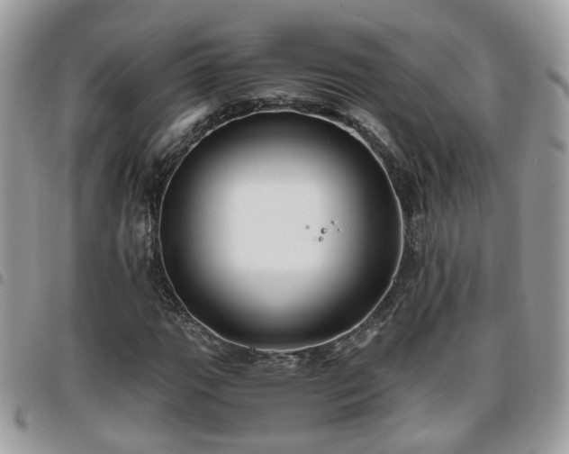 X0000095911111200801181349