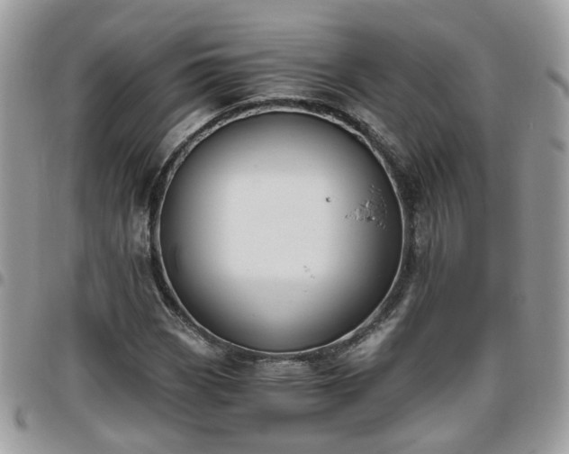 X0000095911113200801181349