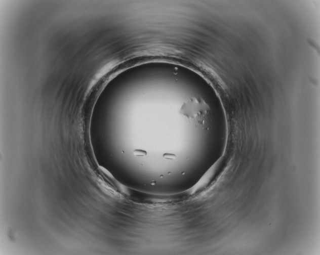 X0000095911114200801181349