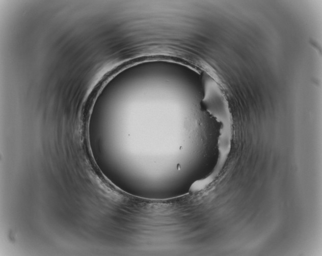 X0000095911116200801181349