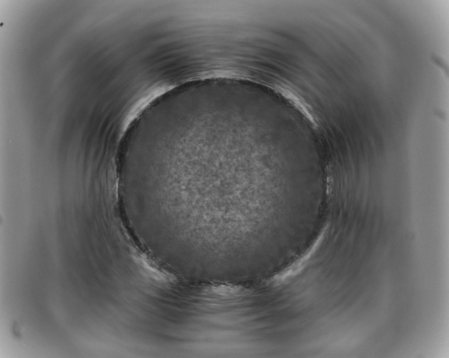 X0000095911117200801181350