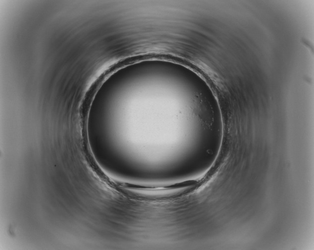 X0000095911118200801181350