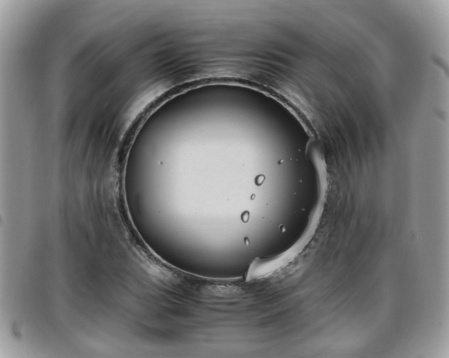 X0000095911119200801181350