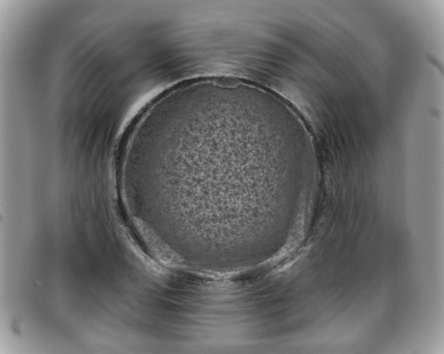 X0000095911120200801181350