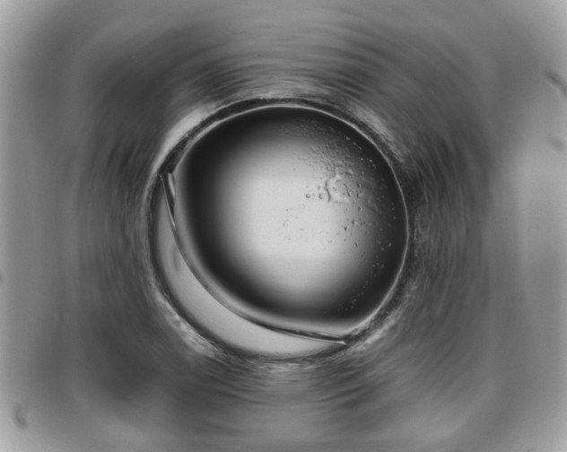 X0000095911122200801181350