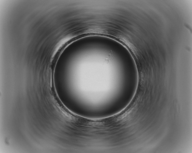 X0000095911123200801181350