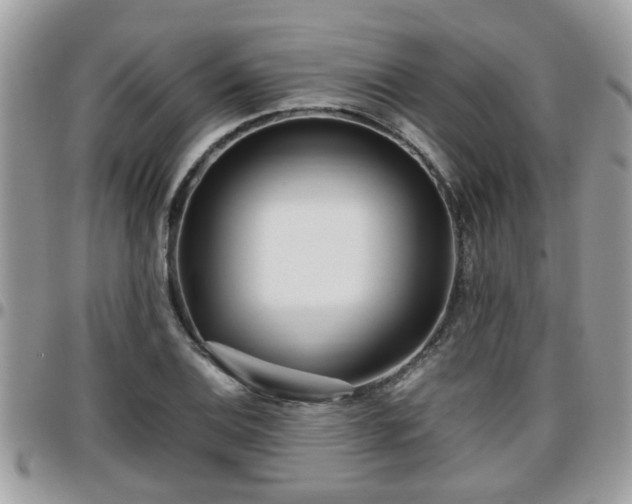 X0000095911124200801181350