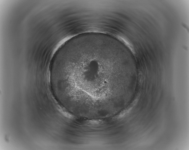 X0000095911125200801181350