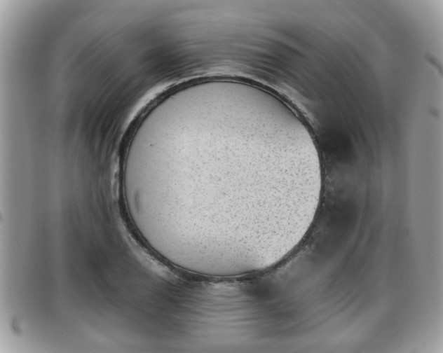 X0000095911126200801181350