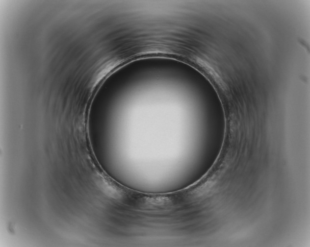 X0000095911129200801181350