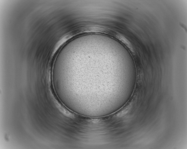 X0000095911130200801181350