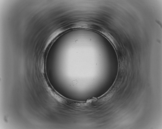 X0000095911131200801181350