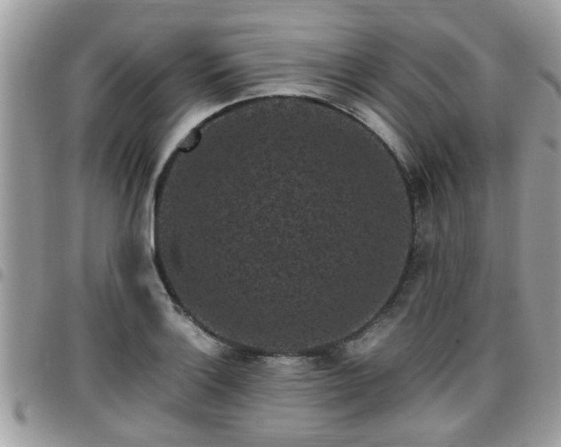 X0000095911132200801181350