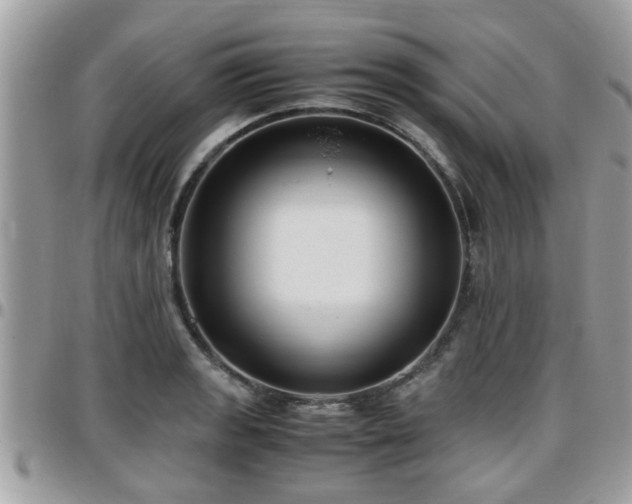 X0000095911133200801181350