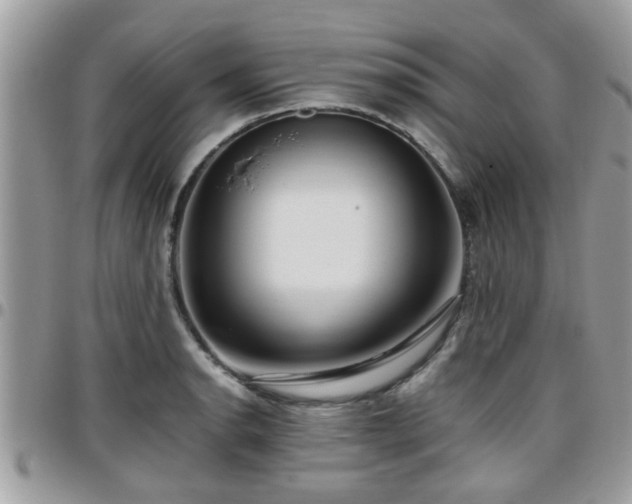 X0000095911134200801181350