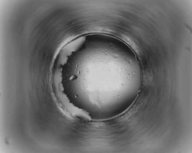 X0000095911136200801181350