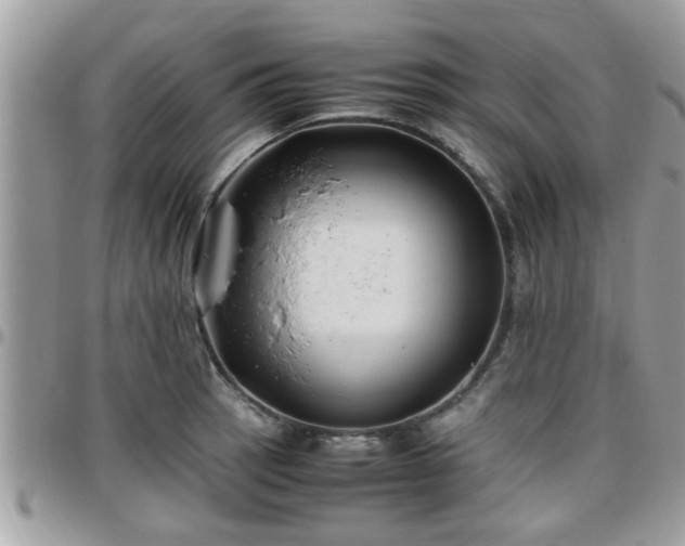 X0000095911137200801181350