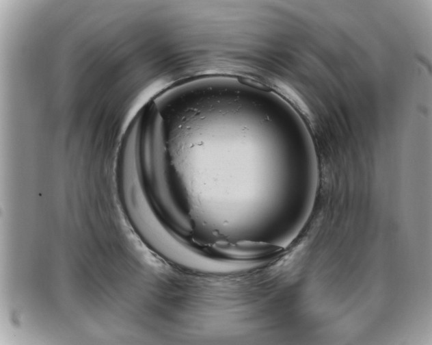 X0000095911138200801181350