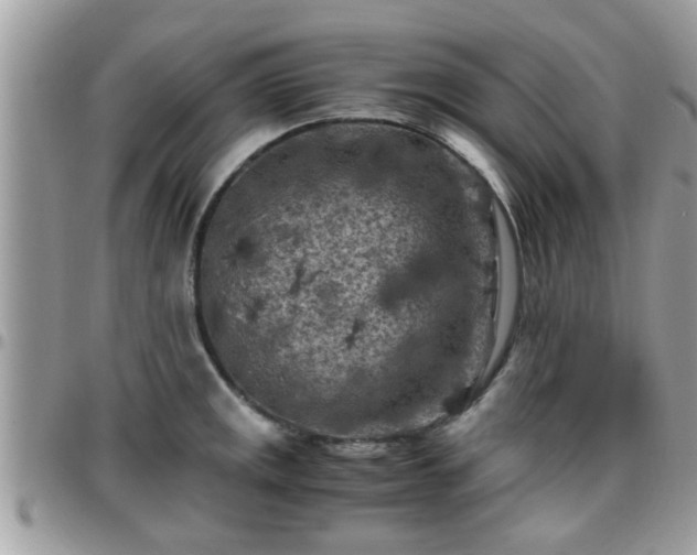 X0000095911141200801181350