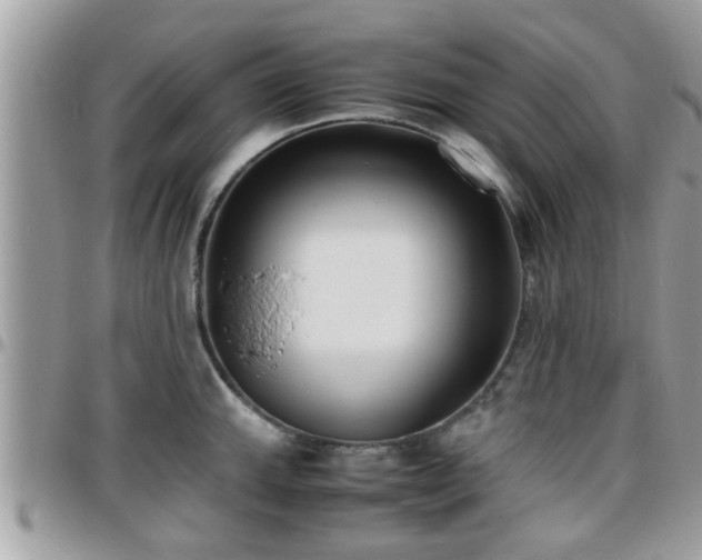 X0000095911143200801181350