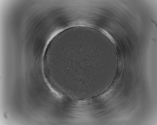 X0000095911144200801181350