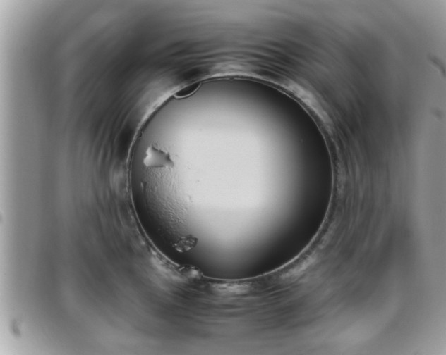 X0000095911145200801181350