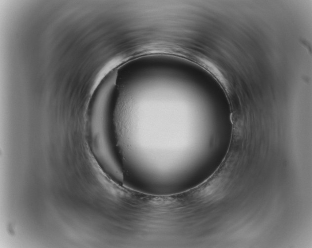 X0000095911146200801181350