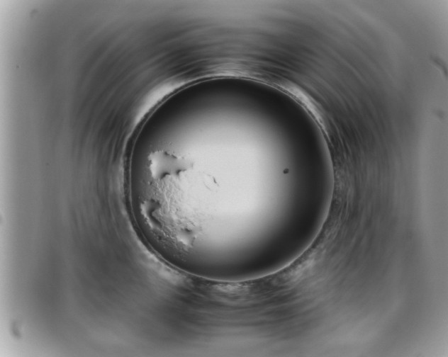 X0000095911147200801181350