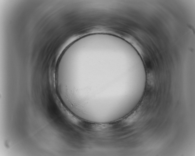 X0000095911150200801181350