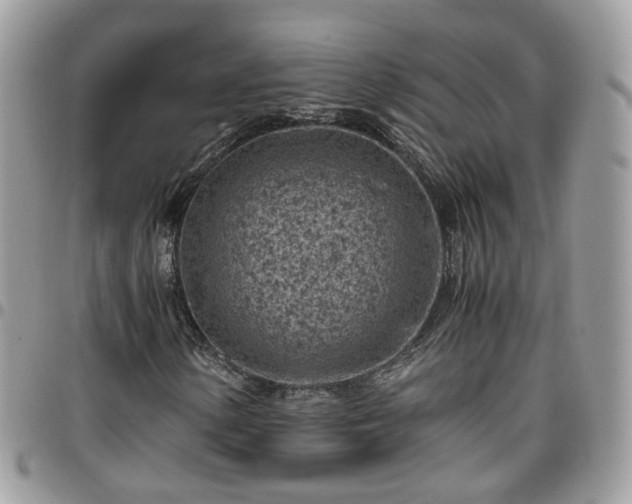 X0000095911154200801181349