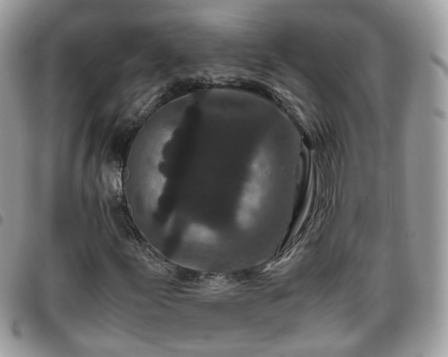 X0000095911155200801181349