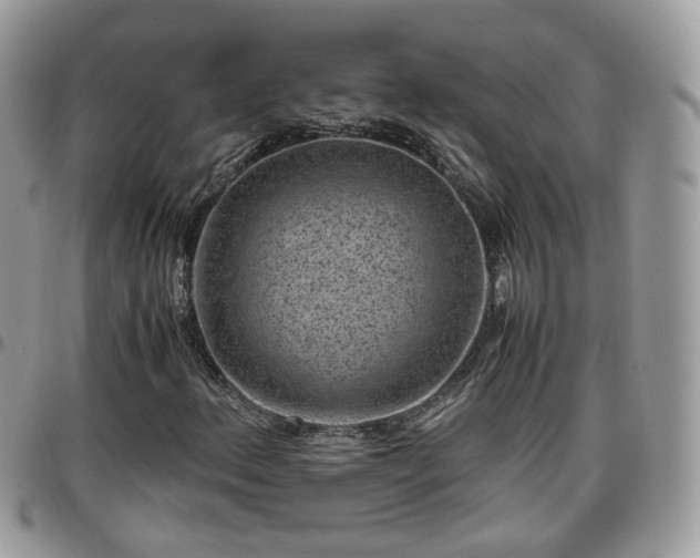 X0000095911156200801181349