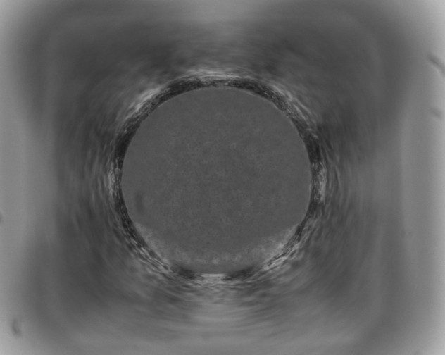 X0000095911157200801181349