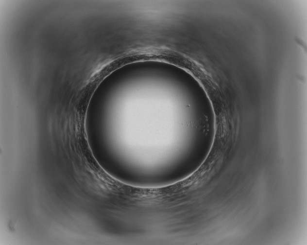 X0000095911158200801181349