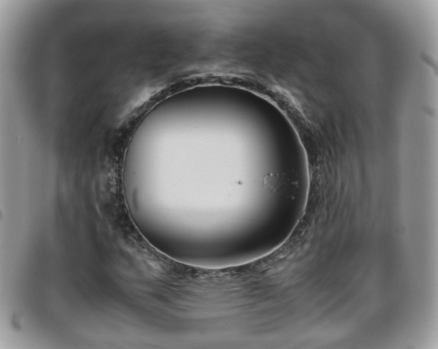 X0000095911159200801181349