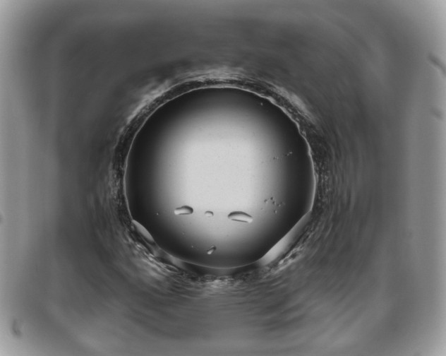 X0000095911160200801181349