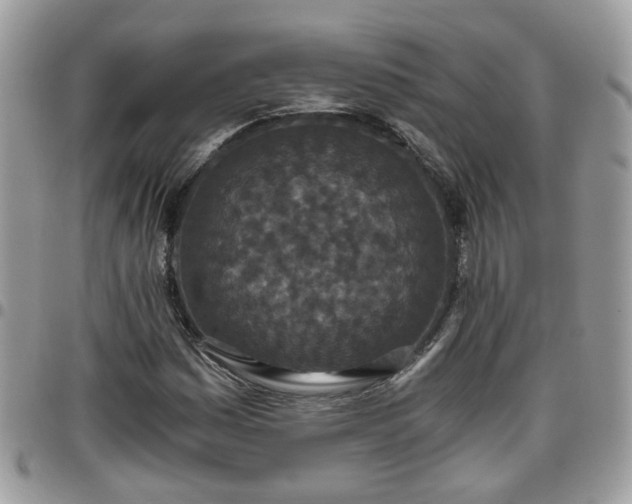 X0000095911161200801181349