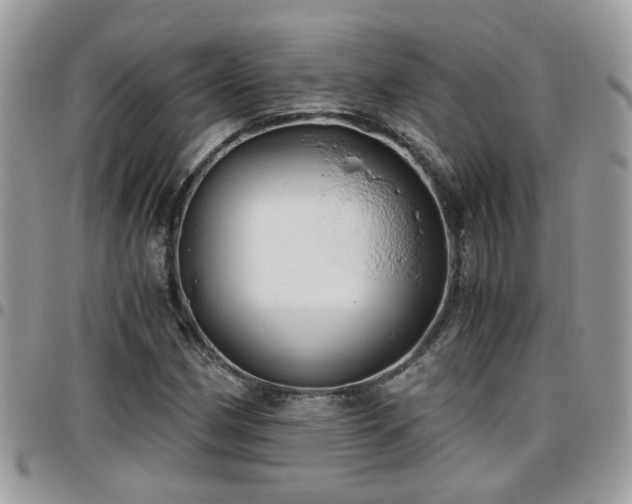 X0000095911162200801181349