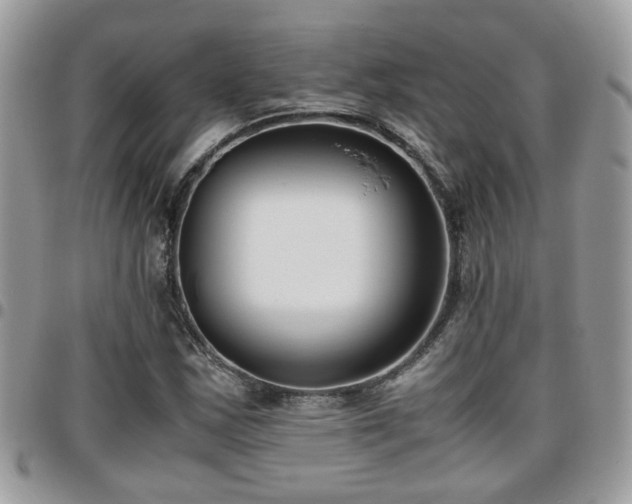 X0000095911163200801181349