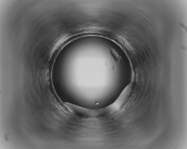 X0000095911164200801181349