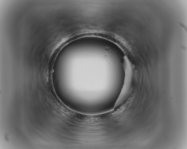 X0000095911165200801181349