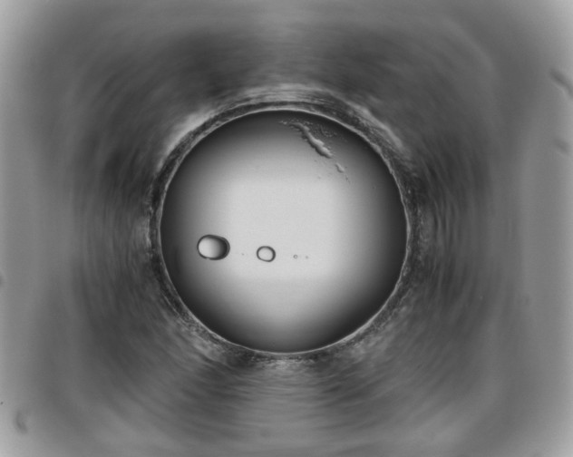 X0000095911166200801181349