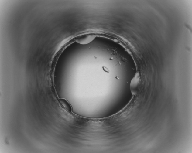 X0000095911168200801181349