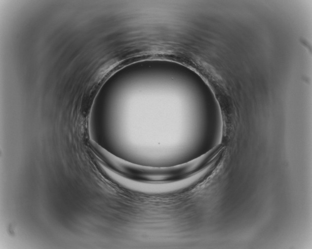 X0000095911169200801181349